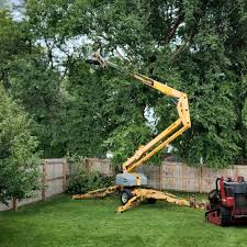 Best Lawn Maintenance Plans  in Kenyon, MN